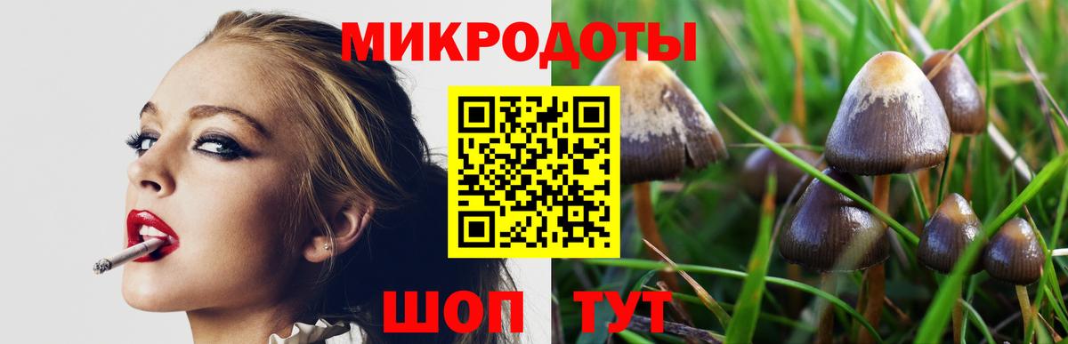 Галлюциногенные грибы прущие грибы Каменка